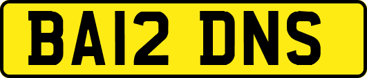BA12DNS