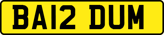 BA12DUM