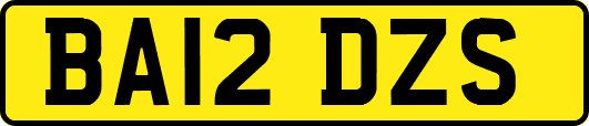 BA12DZS