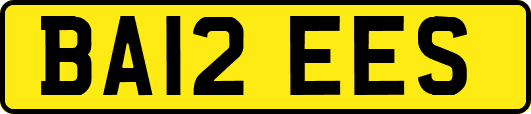 BA12EES