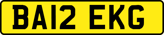BA12EKG