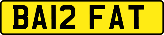 BA12FAT