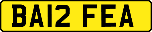 BA12FEA