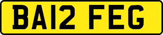 BA12FEG