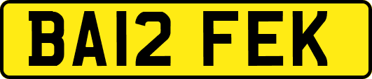 BA12FEK