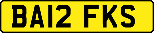 BA12FKS