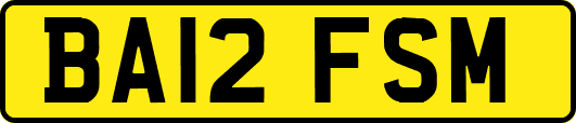 BA12FSM