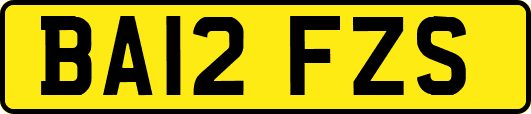 BA12FZS