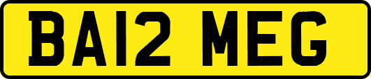 BA12MEG