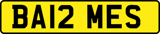 BA12MES