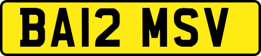 BA12MSV