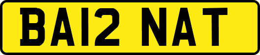 BA12NAT