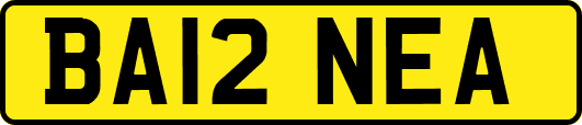BA12NEA