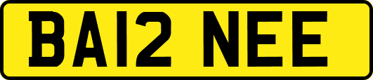 BA12NEE