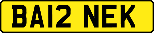 BA12NEK
