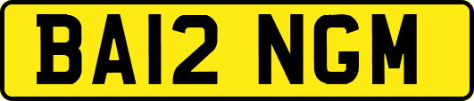BA12NGM
