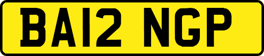 BA12NGP