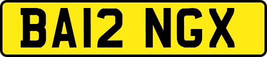 BA12NGX