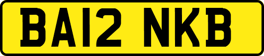 BA12NKB