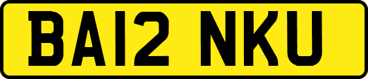 BA12NKU