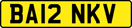 BA12NKV