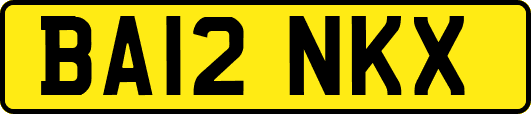 BA12NKX
