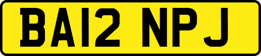 BA12NPJ