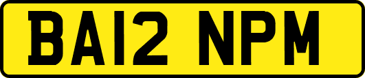 BA12NPM