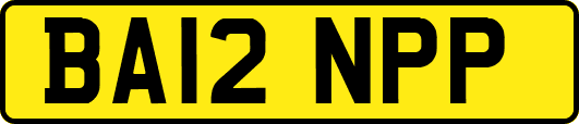 BA12NPP
