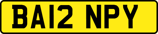 BA12NPY