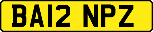 BA12NPZ