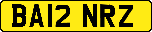 BA12NRZ