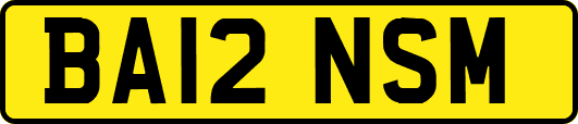 BA12NSM