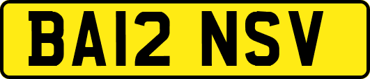 BA12NSV