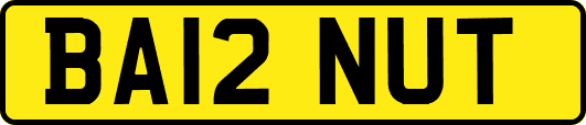 BA12NUT