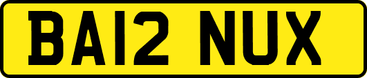 BA12NUX