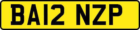 BA12NZP