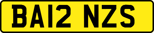BA12NZS
