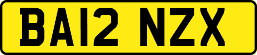 BA12NZX