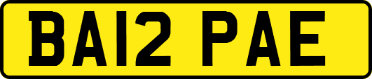 BA12PAE