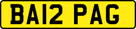 BA12PAG