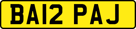 BA12PAJ