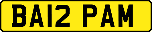 BA12PAM