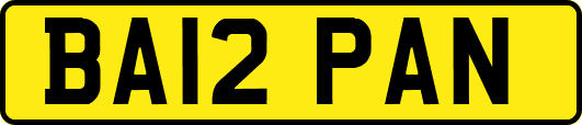BA12PAN