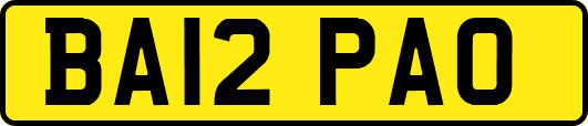 BA12PAO