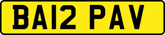 BA12PAV