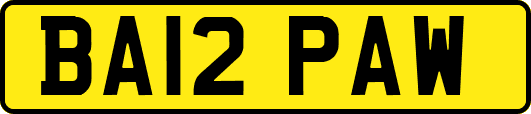 BA12PAW