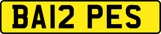 BA12PES