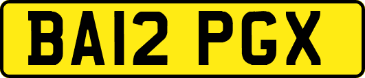 BA12PGX