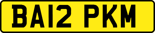 BA12PKM